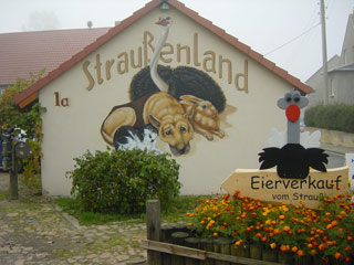 tl_files/straussenland/hofladen_strauss.jpg tl_files/straussenland/hofladen_strauss.jpg