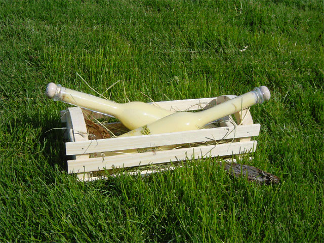 tl_files/straussenland/images/angebot1.jpg
