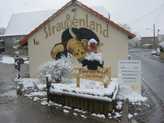tl_files/straussenland/images/straussenland1.jpg tl_files/straussenland/images/straussenland1.jpg